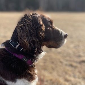 Meet your Posher, Jill